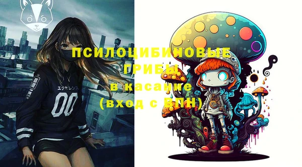 спайс Абинск